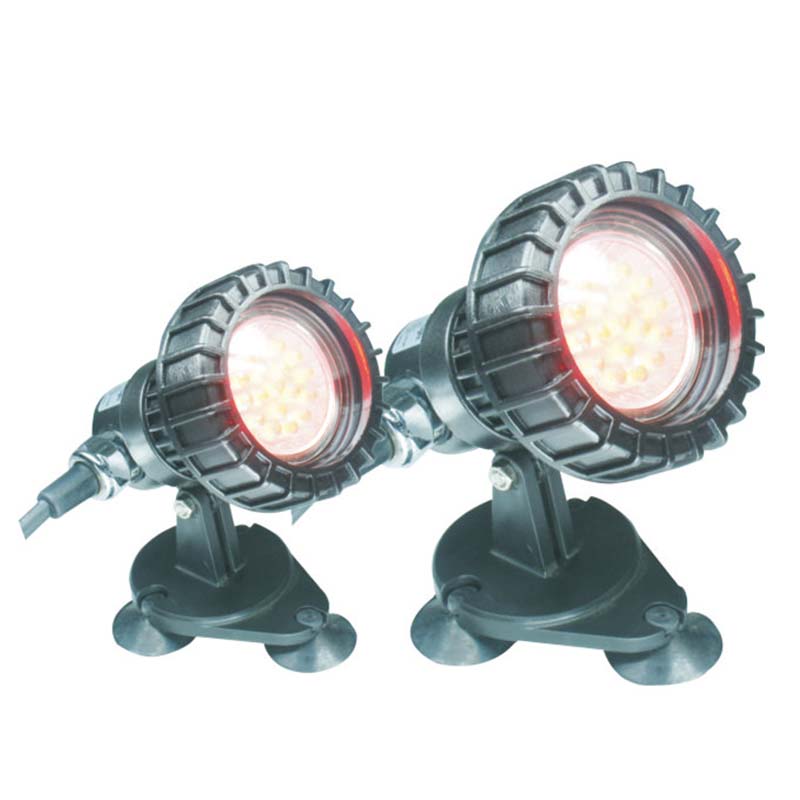 Ikan Di Atas Di Bawah Tanah Cahaya Tenggelam Kolam